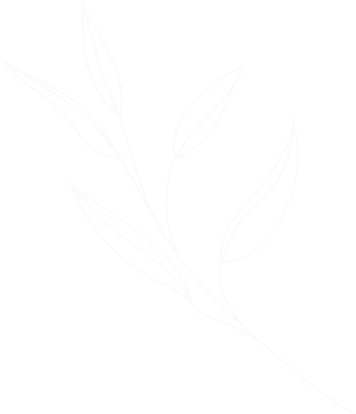 about branch